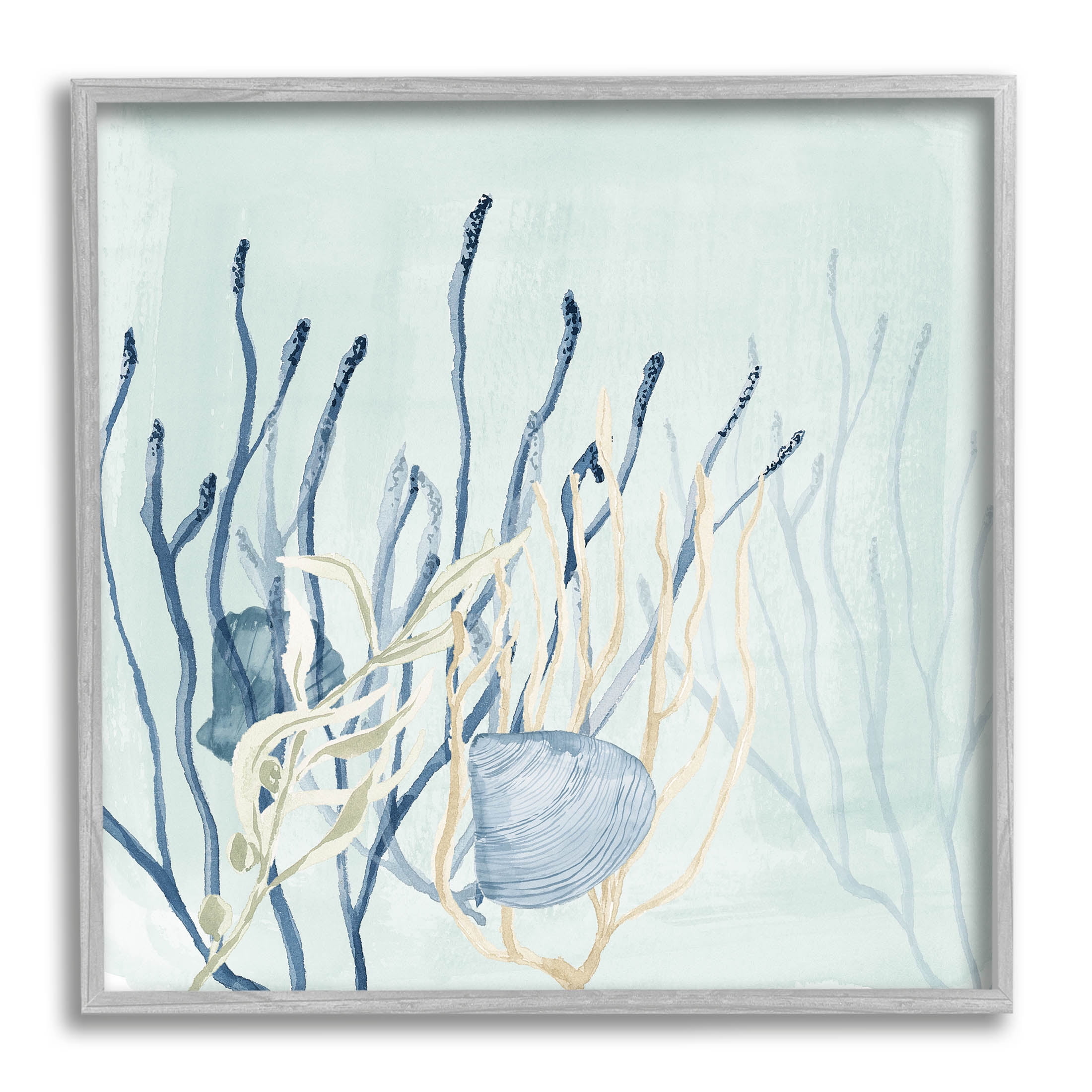 Layered Seashells Coral Underwater Animals & Insects Graphic Art Gray Framed Art Print Wall Art