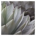 thumbnail image 1 of Layers by Robin Constable Hanson Wrapped Canvas Art Photo Graphic Print, 1 of 2