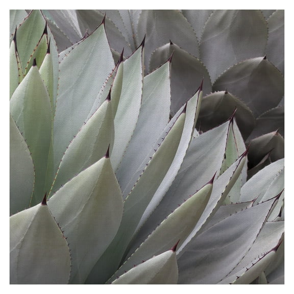 Layers by Robin Constable Hanson Wrapped Canvas Art Photo Graphic Print