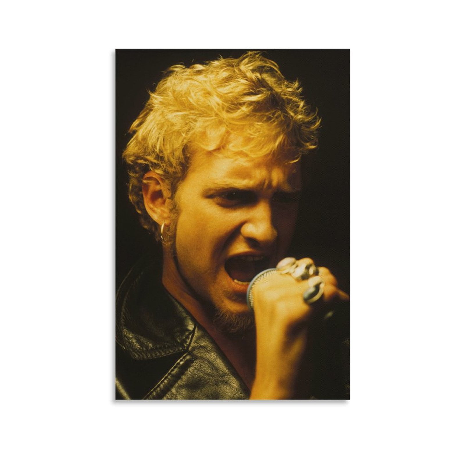 Layne Staley Singer Poster (4) Picture Print Canvas Poster Wall Paint ...