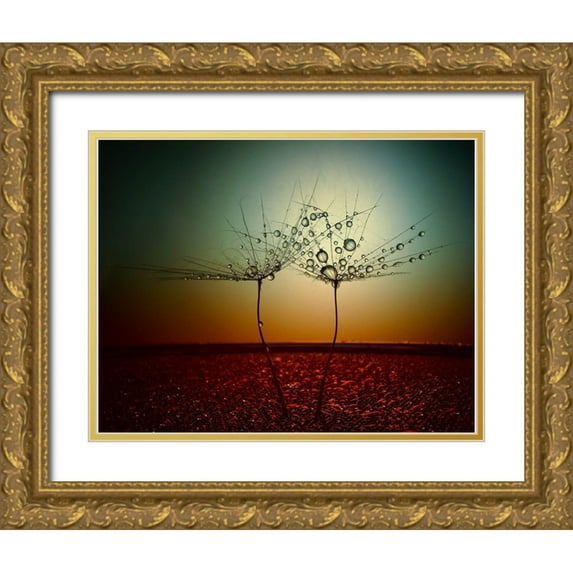 Lazarov, Dimitar 14x12 Gold Ornate Wood Framed with Double Matting Museum Art Print Titled - Fire And Water
