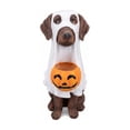 thumbnail image 1 of Lazduis Halloween Decorations Indoor Outdoor 12-Inch Resin Ghost Dog Figurine with Pumpkin Candy Bowl Tabletop Decoration, 1 of 3