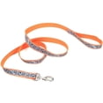 thumbnail image 1 of Lazer Brite Dog Leash, 1 of 2