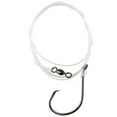 thumbnail interactive-video image 1 of Lazer Sharp Striper Rig Ffr 7/0, 1 of 7