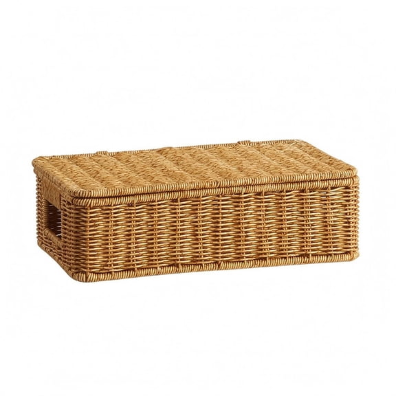 Lazsy 1 Rattan Weave Storage Box with Hinged Top Slim Rectangular Footprint Multipurpose Organizer for Entryway Table Use