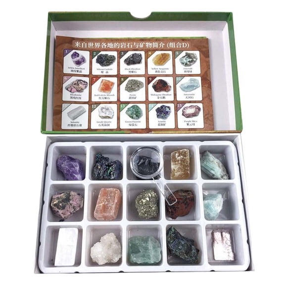Lazsy 15Pcs Rock and Mineral Collection Educational Information Kids' Gemstone Crystal