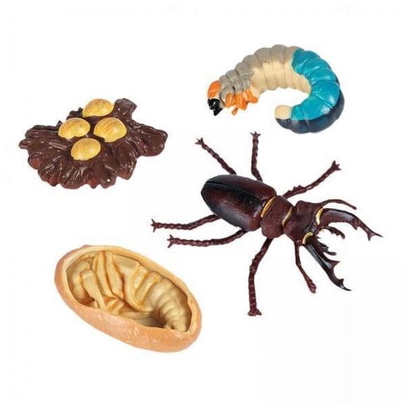 Lazsy 3 Packs Worm Statue Worm Figures Worm Models Worm Toys Hand Painted Pp Material Educational Growth Cycle Set Suitable for Classroom Teaching Homeschoo