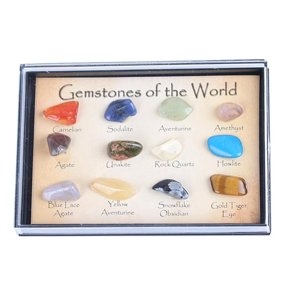 Lazsy 5Pcs Educational Geology Science Kit Rock and Mineral Collection Earth Science A