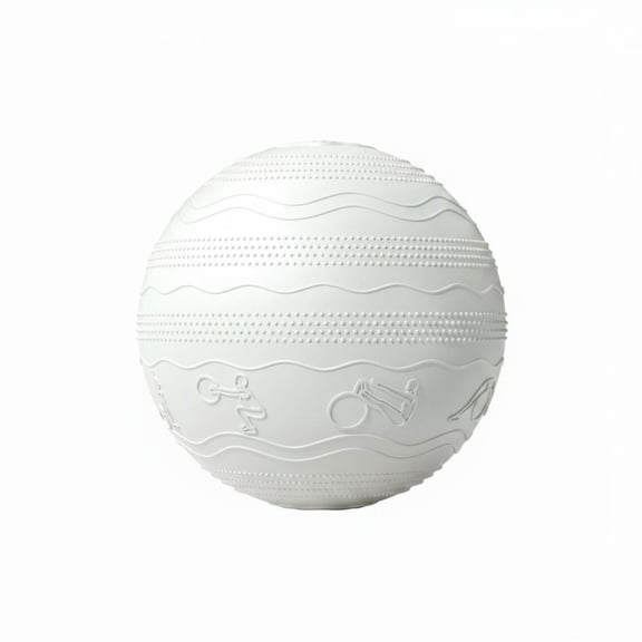 Lazsy Birthing Ball Anti-Rupture Exercise Ball Exercise Equipment for Adults