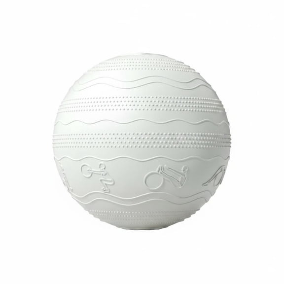 Lazsy Birthing Ball Anti-Rupture Exercise Ball Exercise Equipment for Adults