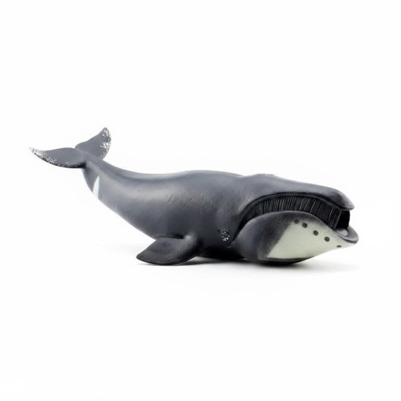Lazsy Bowhead Whale Figurine Model Educational Detail Resin Material for Classroom Display Students Teachers