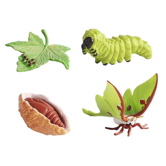 Lazsy Simulation Life Cycle Figurines Learning Educational Toy Teaching Aids Cognitive