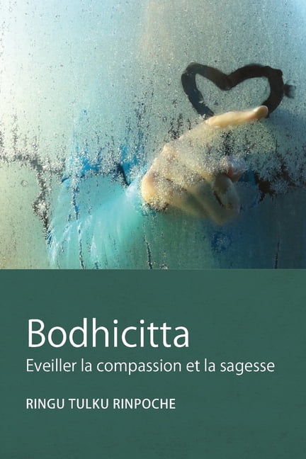Lazy Lama SÃ©rie Bodhicitta: Eveiller la compassion et la sagesse, Book 4, (Paperback)