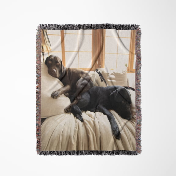 Lazy Puppies Labrador Retriever Pups Labs Sunny Window, Woven Blanket