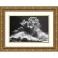 thumbnail image 1 of Lazzarotti, Paolo 18x13 Gold Ornate Wood Framed with Double Matting Museum Art Print Titled - Birds In The Storm (Part 8), 1 of 4