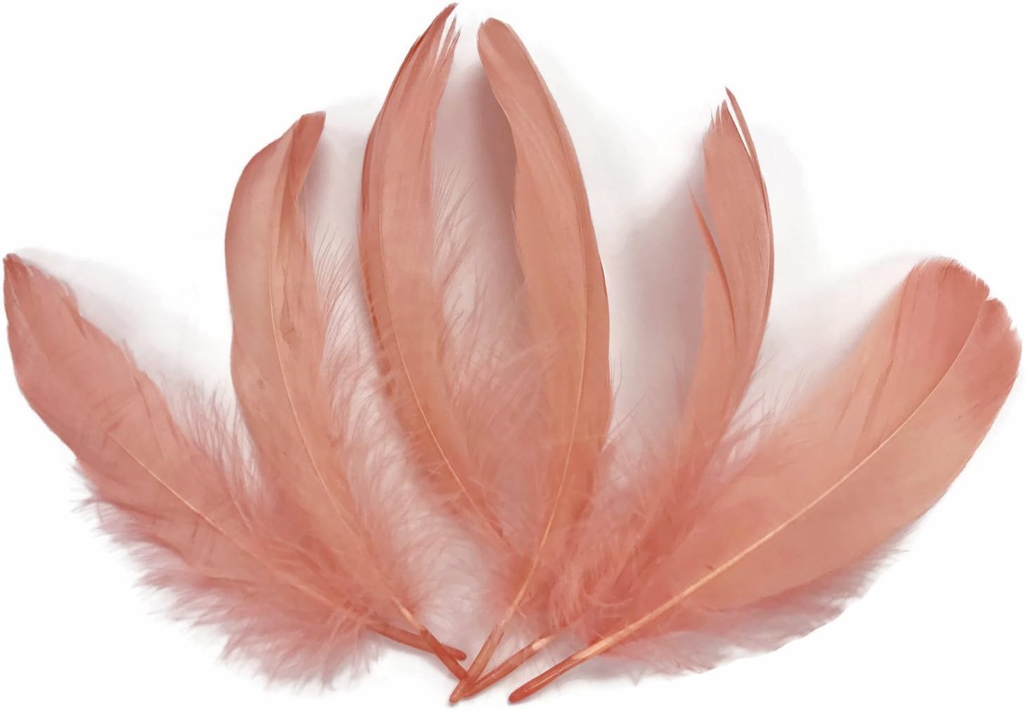 Lb Champagne Goose Nagoire Wholesale s (Bulk) Craft Wedding Supplier