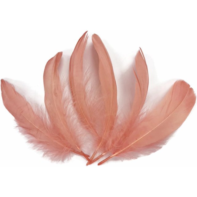 Lb Champagne Goose Nagoire Wholesale s (Bulk) Craft Wedding Supplier