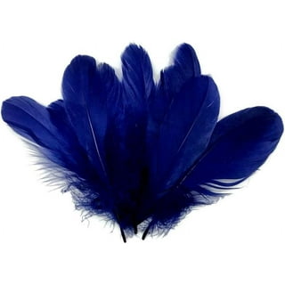 50pcs White & Black & Pink Goose Feathers 15-20cm Natural Feather for a  Variety of Crafts and Apparel