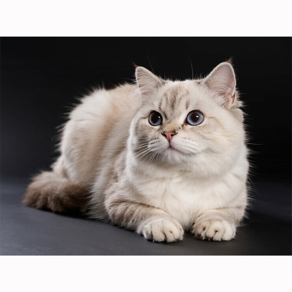 Lcdjbfbf 5D Diamond Art KitCute cat pattern crystal embroidery Art Decor,for Beginners Gem Craft Kits,Paint by Number Diamond Painting,Full Round rhinestone handmade Home Decor 12X16 Inch