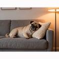 thumbnail image 1 of Lcdjbfbf Animal 5D Diamond Art Kit,Pug Hand embroidered pattern,by Number Stitch Arts and Crafts,DIY Round Diamonds Paintings cross stitch,for Home Living Room Wall Decor (16X12 Inch) 30x40cm, 1 of 5