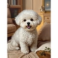 thumbnail image 1 of Lcdjbfbf Bichon Frise pattern,5D Full Round Diamond Painting Kits,DIY handmade Home Decor,for Beginners Paint by Number Diamond Painting,Arts and Crafts for Living Room Decor 12x16 inch, 1 of 1