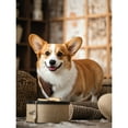 thumbnail image 1 of Lcdjbfbf DIY 5D Round Full Drill Diamond Dot Gem Art Kits,Welsh Corgi pattern,Art for Home Wall Decor,Diamond painting handmade for Beginners，animal Gem Art Diamond Painting 16x12 inch, 1 of 1