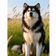 thumbnail image 1 of Lcdjbfbf DIY Full Round handmade Home Decor,5D Diamond Painting Kits,for Beginners Paint by Number Diamond Painting,Alaskan Malamute pattern,Arts and Crafts for Living Room Decor 30x40cm, 1 of 5