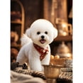 thumbnail image 1 of Lcdjbfbf DIY Full Round handmade Home Decor,5D Diamond Painting Kits,for Beginners Paint by Number Diamond Painting,Bichon Frise pattern,Crafts for Living Room Home Decor 12x16 inch, 1 of 1