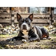 thumbnail image 1 of Lcdjbfbf DIY Kits Full Round Drill Rhinestones Staffordshire Bull Terrier pattern Diamond Art 5D Diamond Painting by Number Stitch Arts and Crafts for Living Room Home Wall Decor 30x40cm, 1 of 1