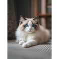 thumbnail image 1 of Lcdjbfbf Ragdoll cat Pattern,5D DIY Paint with Diamonds Crafts,handmade Diamond Painting Kits pet Dog,Round Full Drill Diamond Art Kits,for Home living room bedroom Decor (16×12Inch), 1 of 1