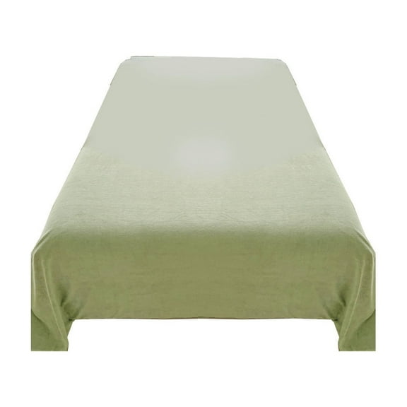 Lcxifdre Elegants Soft Velvet Flannel Sheet Set Quality Cozy Warm Antis Statics Non Pilling Fuzzy Velvet Flannel Fleece Sheet Set