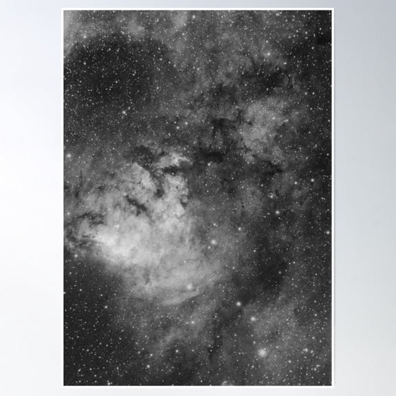 Ldn 1269, Ced 214, Cepheus (Black&White) Poster Wall Art, Modern Wall Decor, 16x24 UNFRAMED