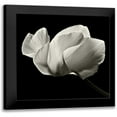 thumbnail image 1 of Le Blanc, Dawn 12x12 Black Modern Framed Museum Art Print Titled - Numen, 1 of 5
