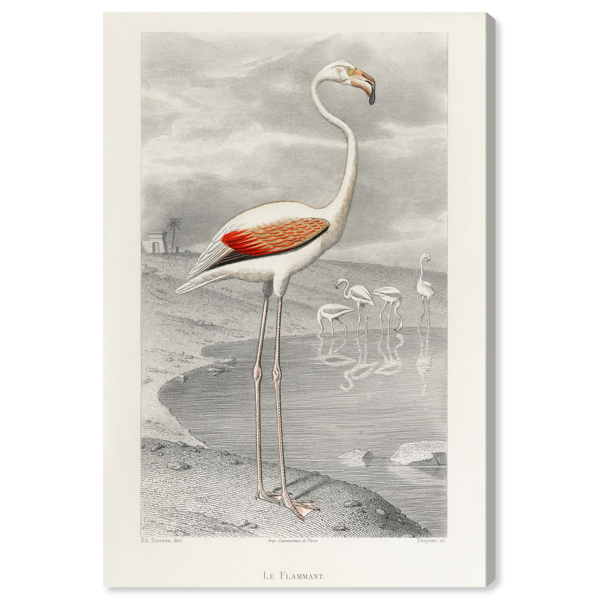 Le Flammant Flamingo Retro Japanese Art Canvas Print, 54" x 36"