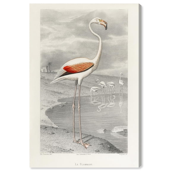 Le Flammant Flamingo by Edouard Travies Canvas Retro Japanese Art Prints by Art Remedy, Gallery Wrapped, 36" x 54"