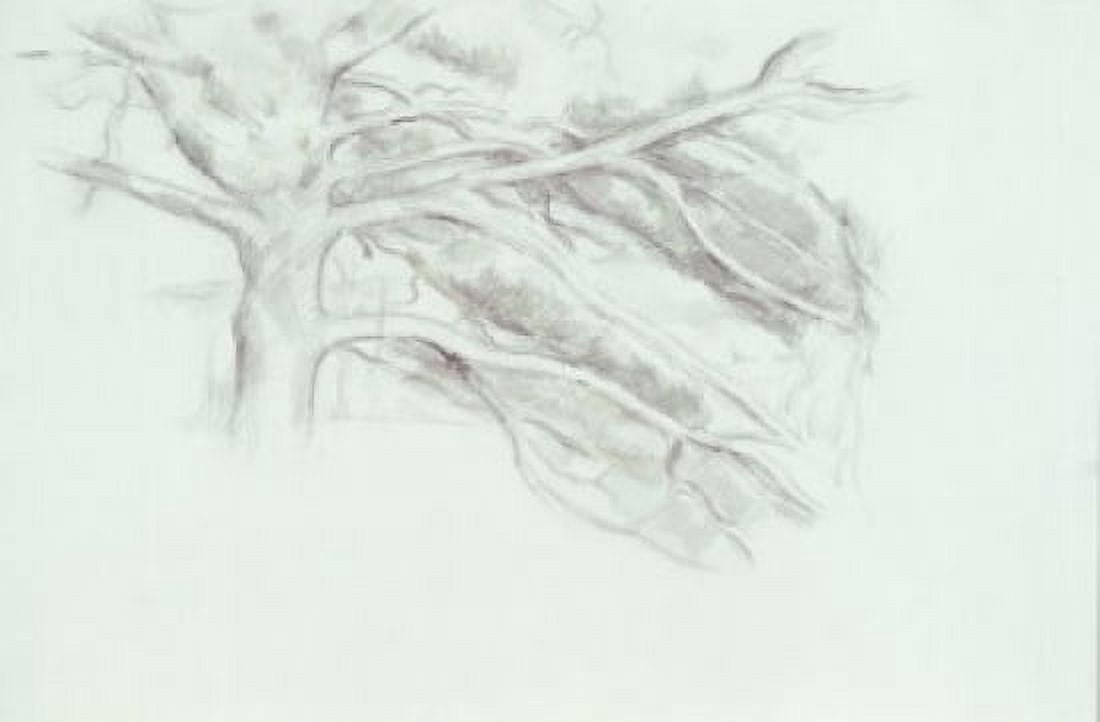 Le Grand Arbe by Paul Cezanne drawing (1839-1906) Canvas Art - Paul Cezanne (18 x 24)