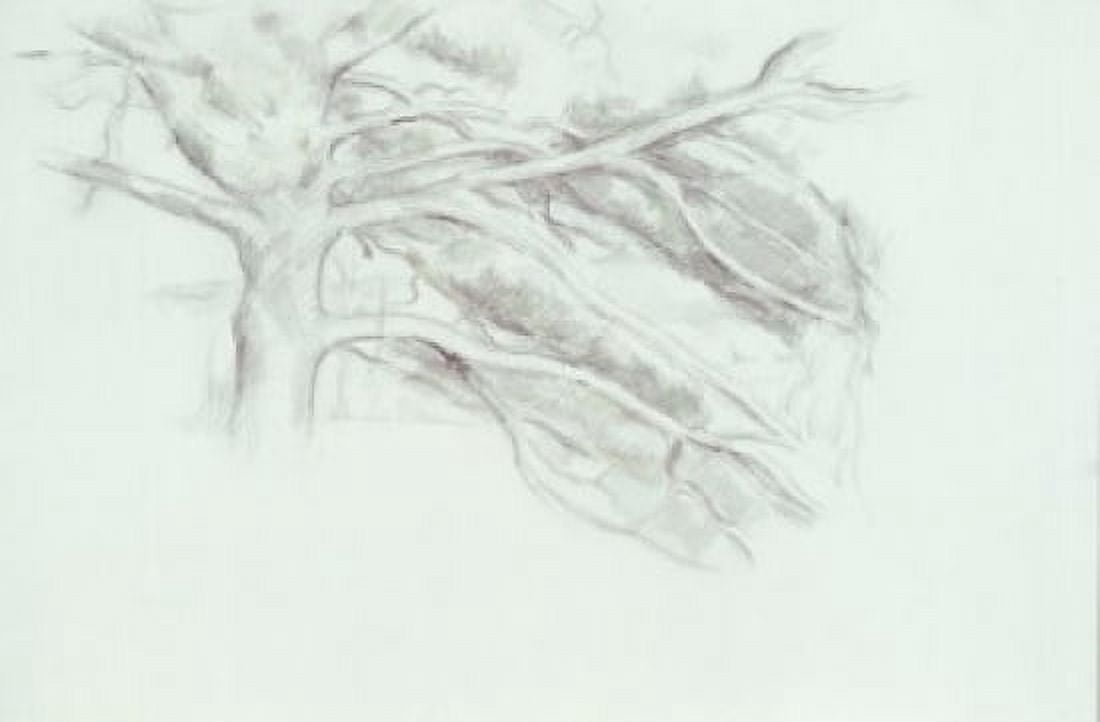 Le Grand Arbe by Paul Cezanne drawing (1839-1906) Canvas Art - Paul Cezanne (24 x 36)