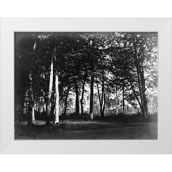Le Gray, Gustave 32x25 White Modern Wood Framed Museum Art Print Titled - Fontainebleau, 1849 - Study of Trees and Pathways