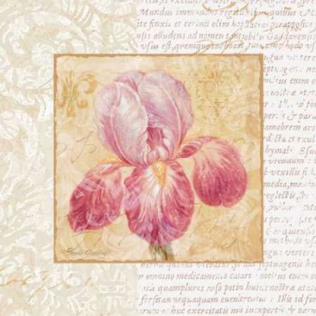 Le Jardin II Canvas Art - Pamela Gladding (24 x 24)