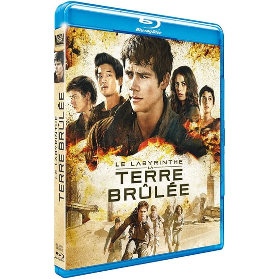 Le Labyrinthe : la terre brle (Blu-ray)