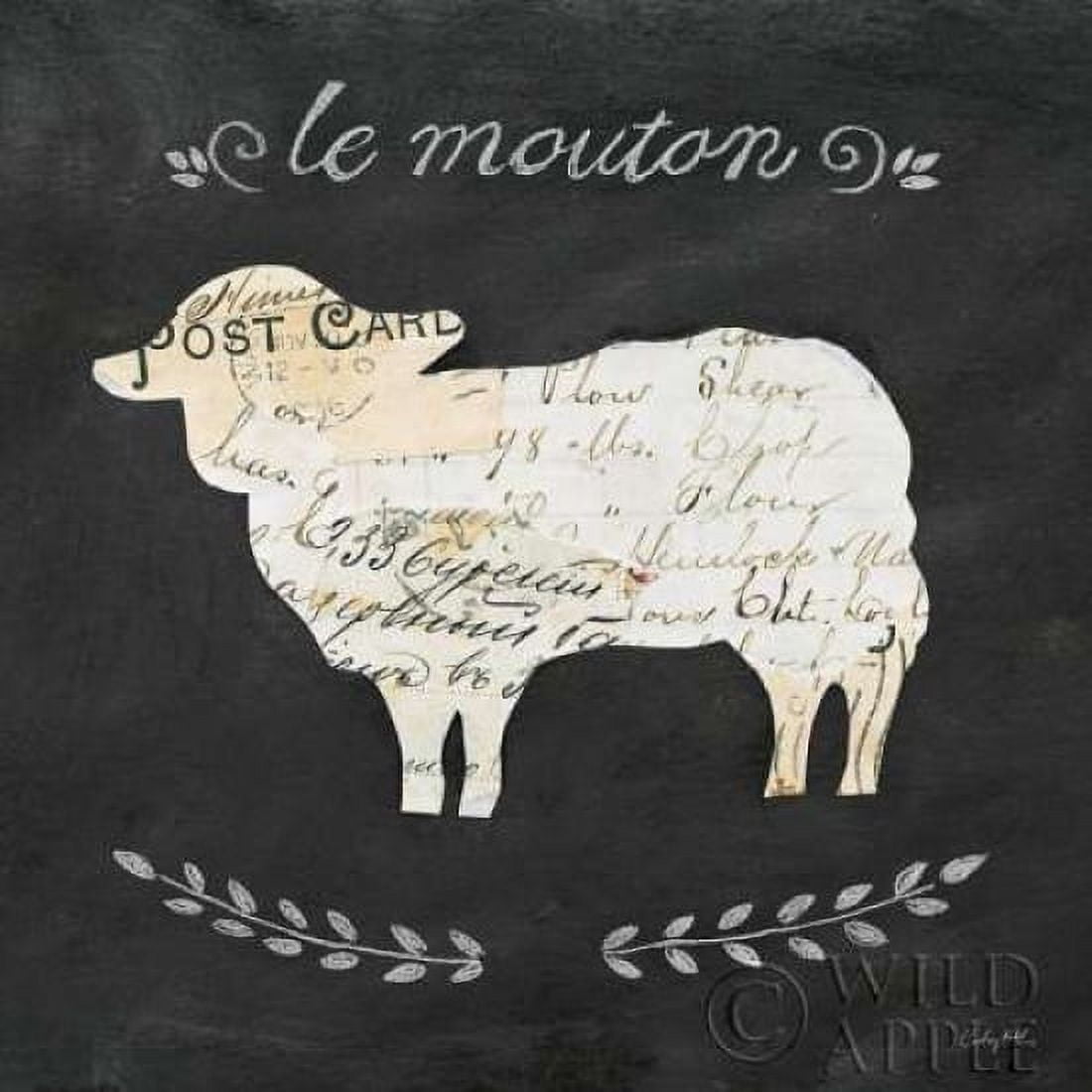 Le Mouton Cameo Sq Canvas Art - Courtney Prahl (24 x 24)
