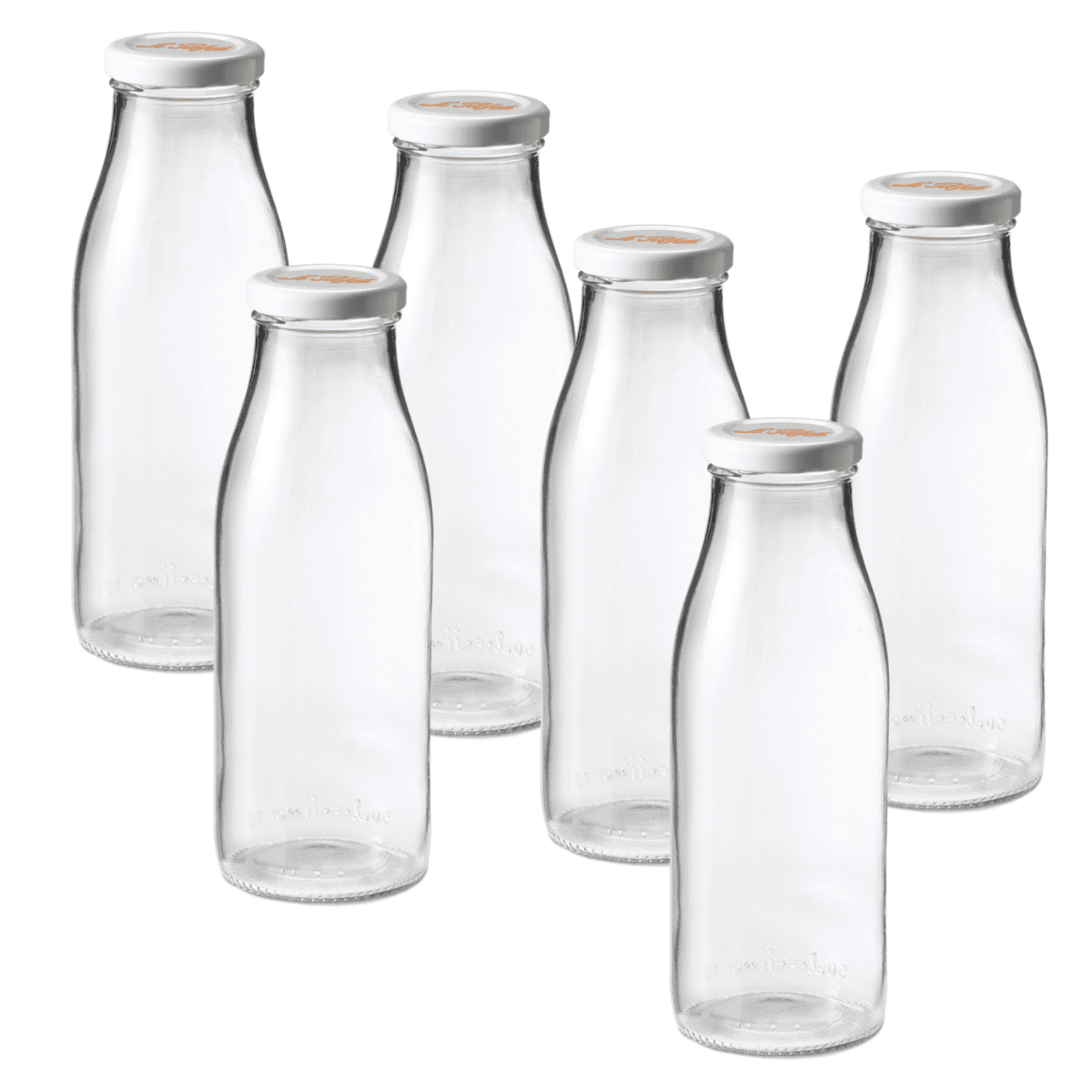 Paksh Novelty Travel Glass Drinking Bottle Mason Jar 16 Ounce [6