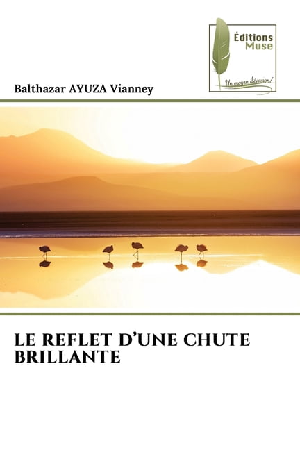 Le Reflet d'Une Chute Brillante, (Paperback)