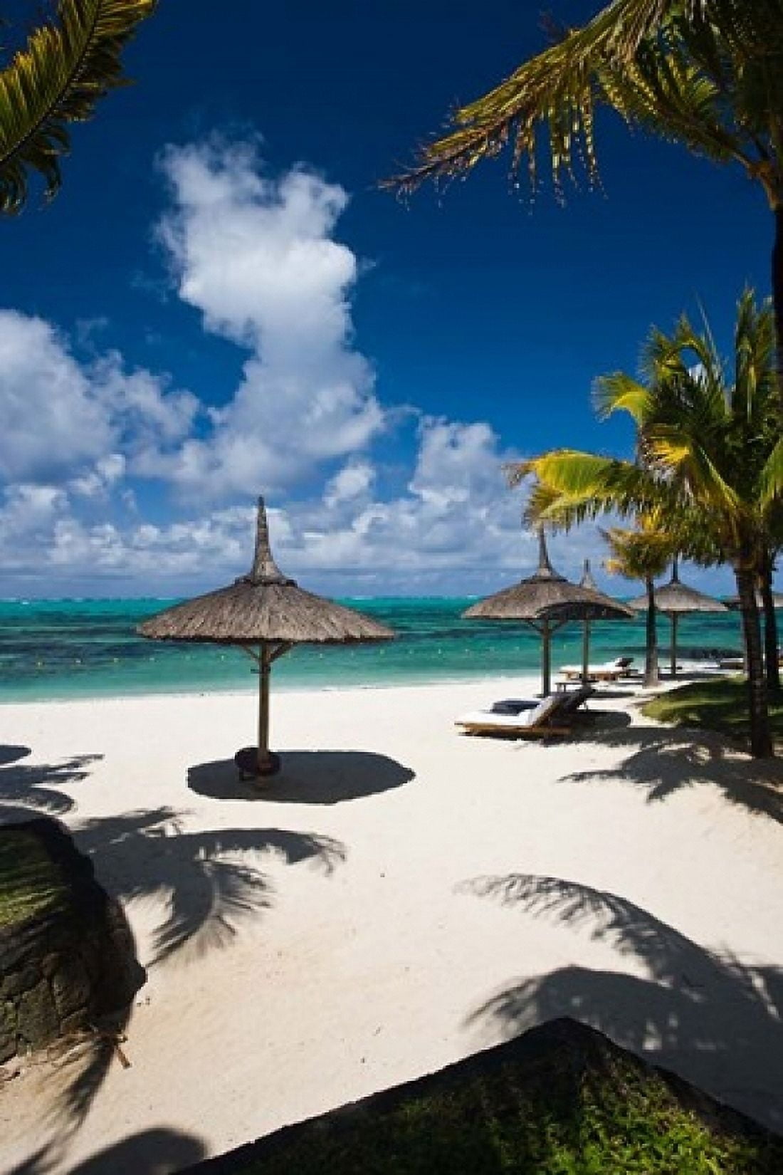 Le Touessrok Resort Beach Mauritius Canvas Art - Walter Bibikow DanitaDelimont (18 x 24)