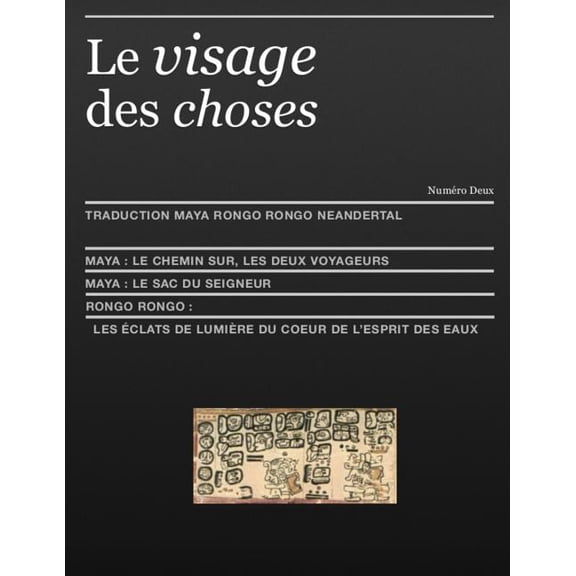 Le Visage Des Choses: Le Visage Des Choses: traduction rongo rongo et maya (Paperback)