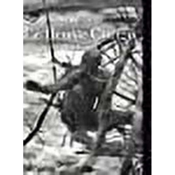 Le fleuve Congo (French Edition)