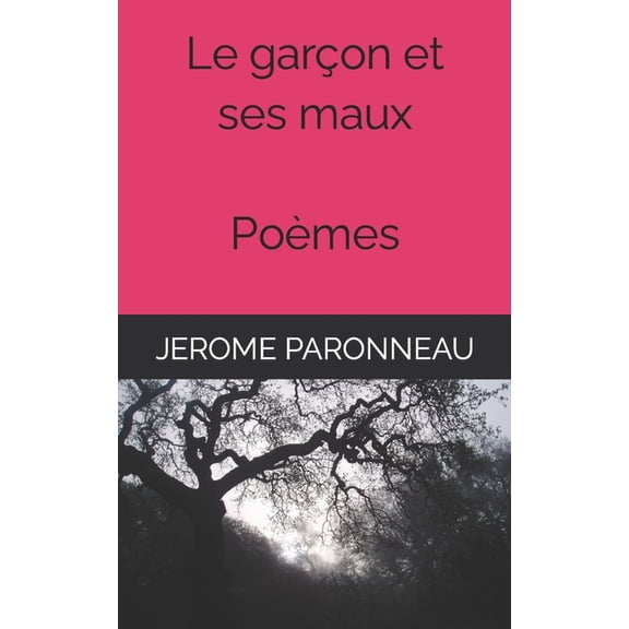 Le garon et ses maux (Paperback)