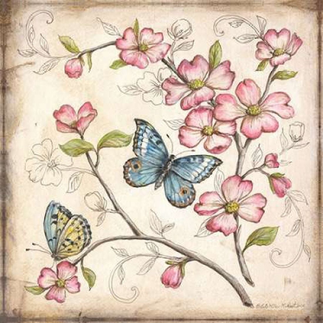 Le jardin Butterfly I Canvas Art - Kate McRostie (24 x 24)