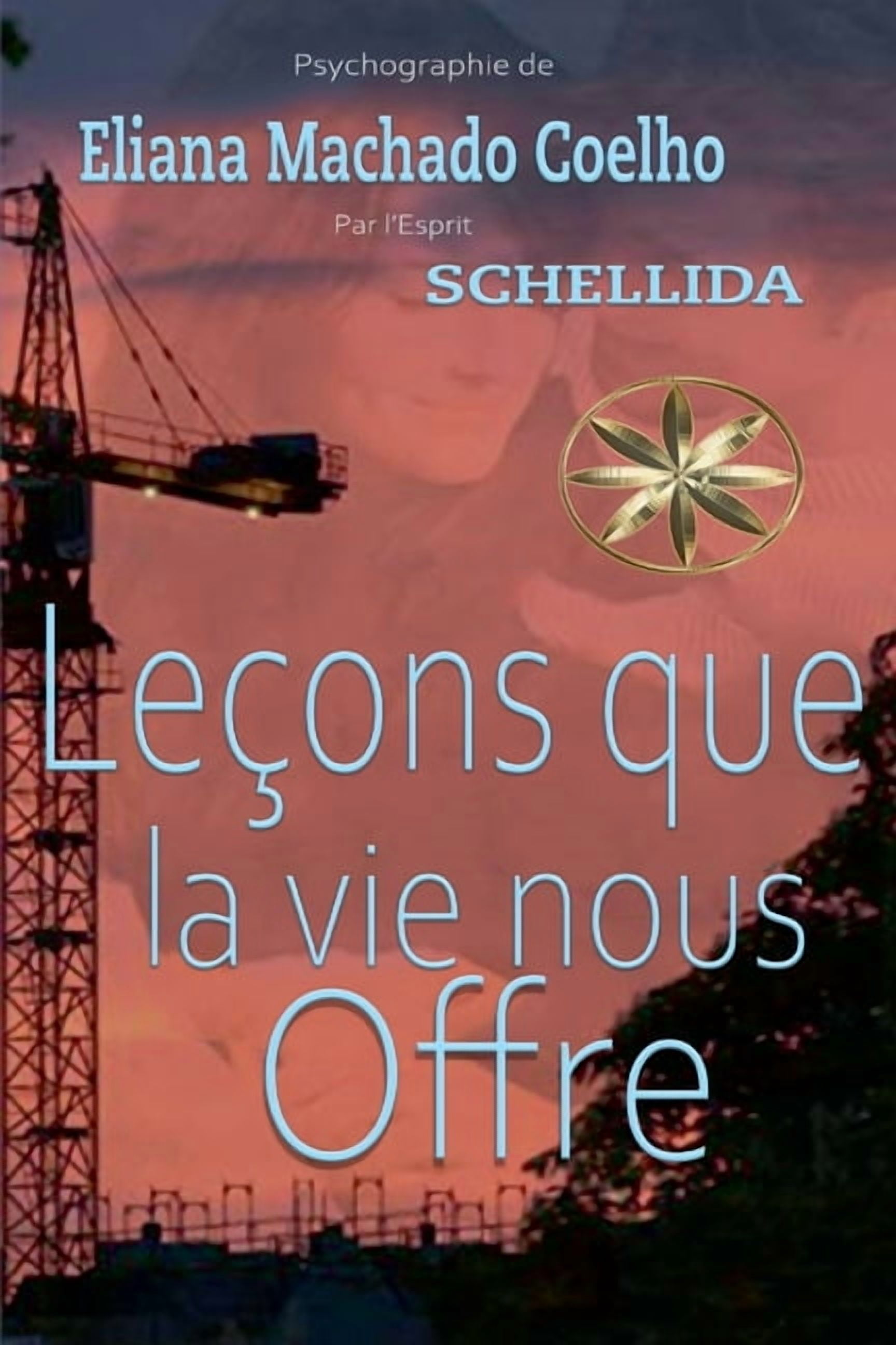 LeÃ§ons que la vie nous offre, (Paperback)