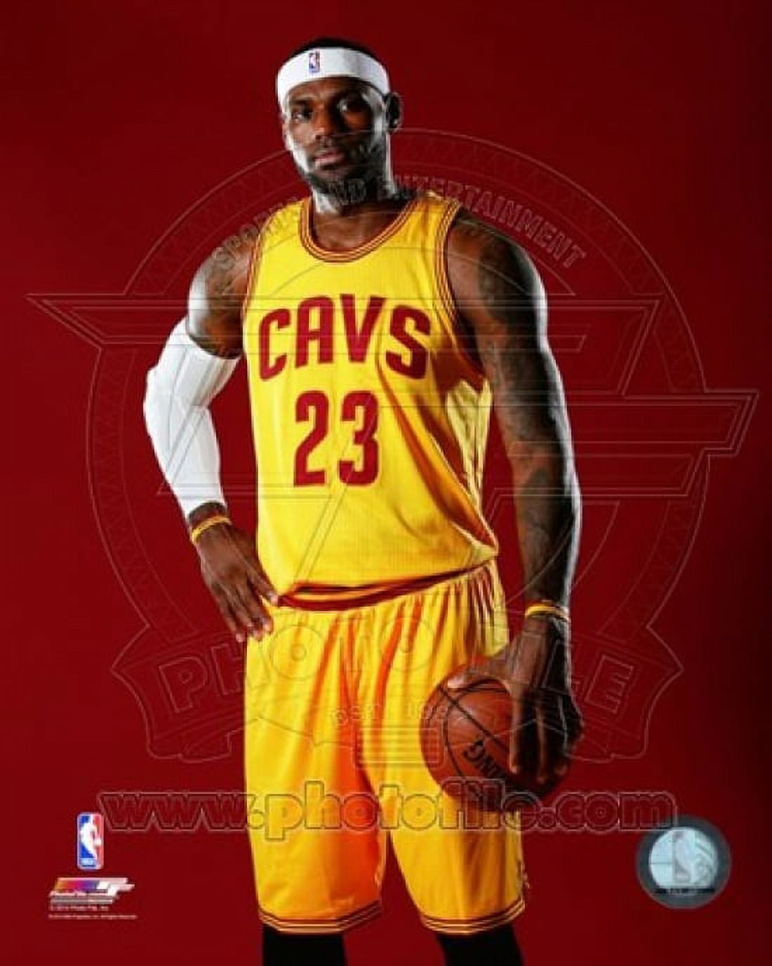 lebron 2014